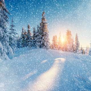 Межд. конкурс изобразительного искусства и декоративно-прикладного творчества «ИДЕТ ВОЛШЕБНИЦА ЗИМА»